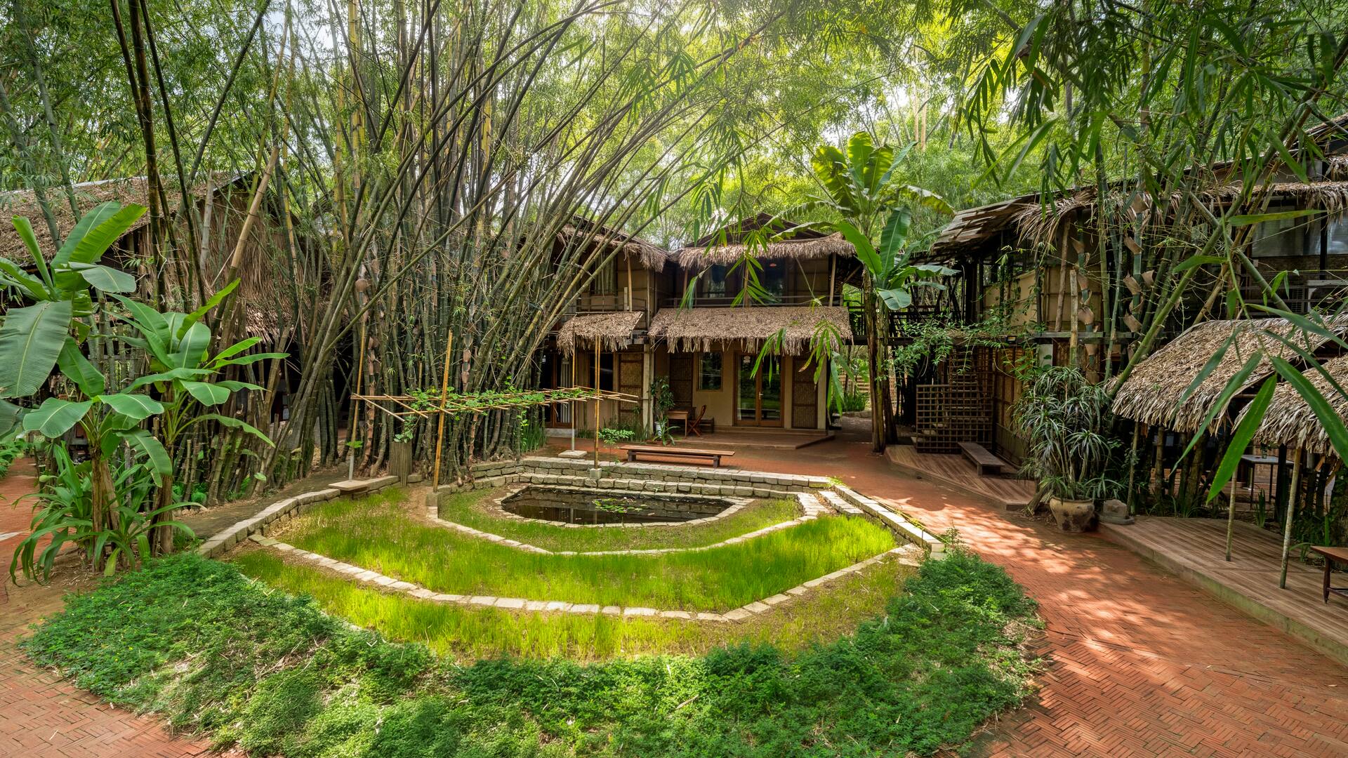 The bamboo courtyard and rice-paddy pond at Triêm Tây Village